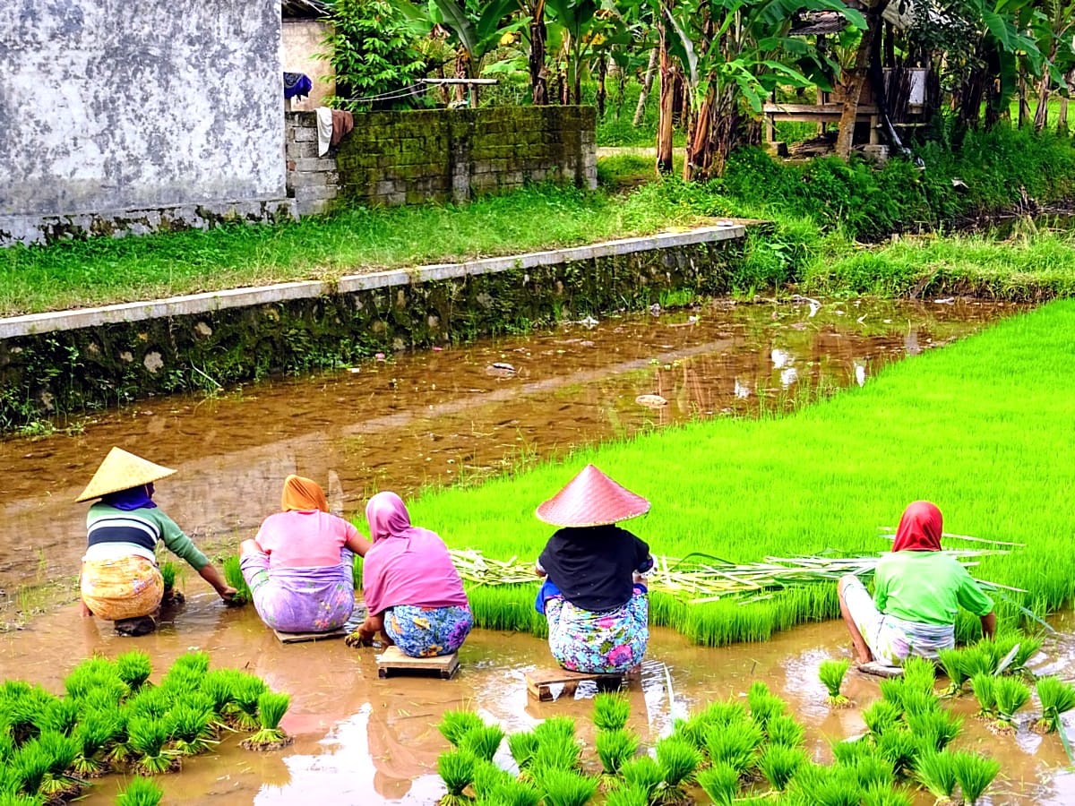 Aussicht auf Lomboks Küste mit weißen Stränden und Mount Rinjani im Hintergrund
