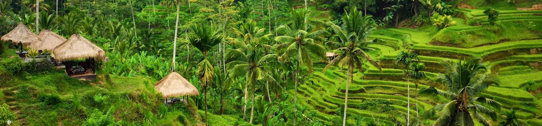 Baliexploring hero image