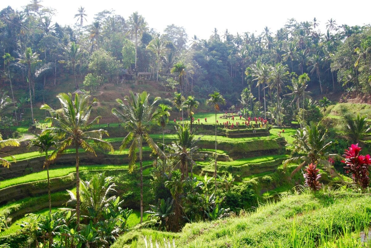Tropischer Wasserfall in Gianyar