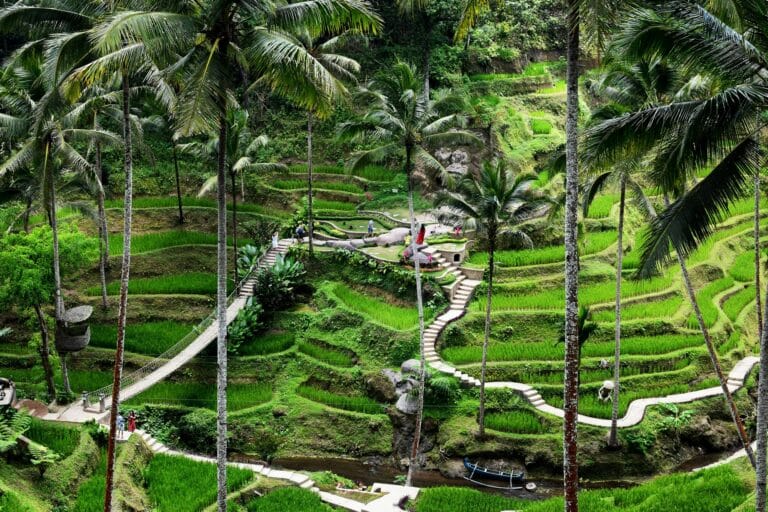 Tegenungan Waterfall surrounded by greenery in Gianyar, Bali.