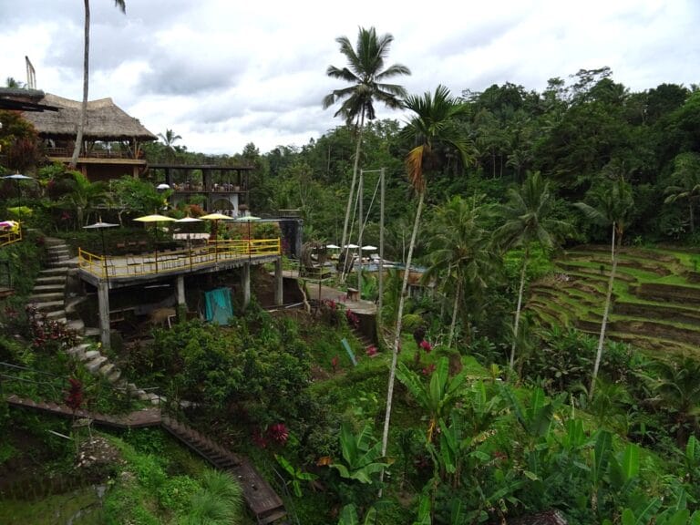 Tegalalang rice terraces with lush greenery.