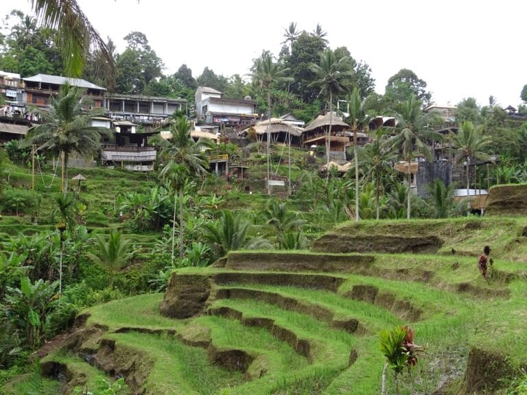Tegalalang rice terraces with lush greenery.